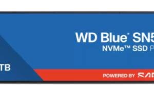 SSD SANDISK WDS100T5B0E